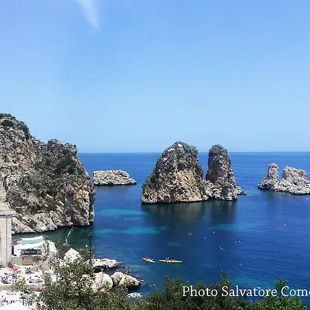 Primo Piano Riccio Locazione Turistica Trapani