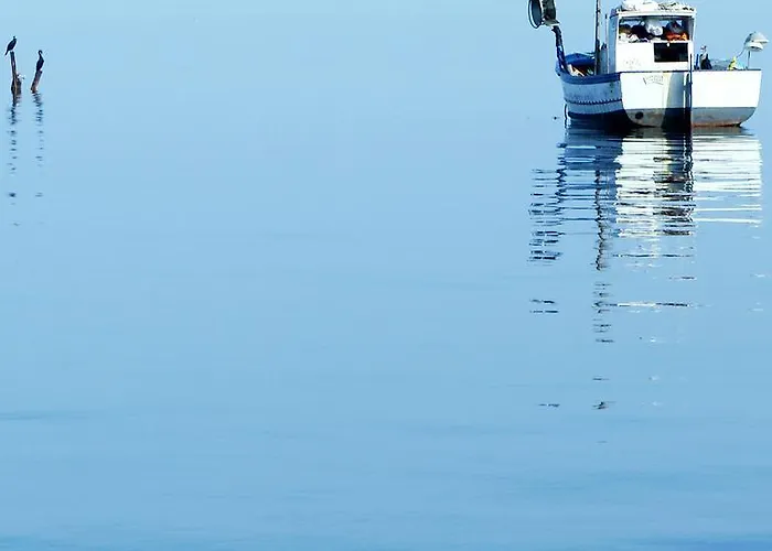 Primo Piano Riccio Locazione Turistica Appartamento Trapani